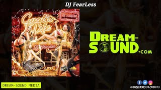 DJ FearLess  Gyalis Life Dancehall Mixtape 2019 [upl. by Nrev]