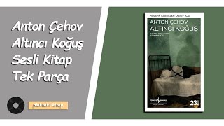 ANTON ÇEHOV  ALTINCI KOĞUŞ  SESLİ KİTAP [upl. by Asirak]