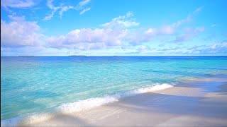 Maldives Ocean 4K 🏝 Tropical Beach in Summer Ocean sounds for sleep and study [upl. by Aynat]