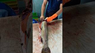 The best salmon fish cutting recipe [upl. by Akym]