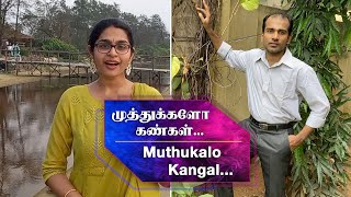 QUARANTINE FROM REALITY  MUTHUKALO KANGAL  NENJIRUKKUM VARAI  Episode 367 [upl. by Wendall]