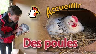 🐔 Construction de notre poulailler de A à Z et fonctionnement 🥚 [upl. by Annairol]