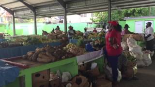 Farmers market Basseterre St Kitts [upl. by Appledorf]