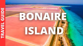 Bonaire Island Travel Guide 14 BEST Things To Do In Bonaire Island Carribean [upl. by Allenod]