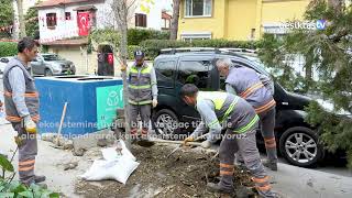 Daha sağlıklı ağaçlar için ekiplerimiz görev başında👷🏼 [upl. by Annala]