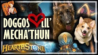 DOGGOS LOVE LIL’ MECHA’THUN 💗 The Most Broken Rise of Shadows Deck [upl. by Haseefan429]