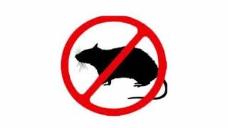 Mouse amp Rat Ultrasonic Deterrent  Cat sounds to scare mice away Rat distress call  Sound Mice Hate [upl. by Funda]