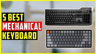 ✅Top 5 Best Mechanical Keyboard in 2024  Best Mechanical Keyboard [upl. by Lyon]