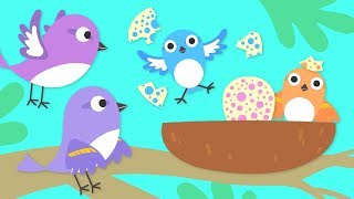 Treetop Family Episode 1  Hello Baby Sparrows  Cartoon For Children [upl. by Sclater]