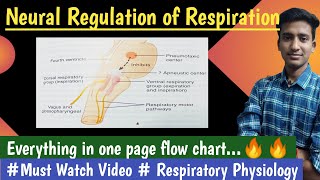 Neural Regulation of Respiration Respiratory Physio hindi Ashish Agrawal [upl. by Larkin]