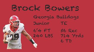 Brock Bowers Georgia Bulldogs 2023 Highlights [upl. by Sergu]