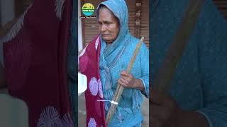 SERVING Spiny EEL amp Rice with New Dress villagegrandpacooking villagevlog food fishcurry [upl. by Chrisse570]