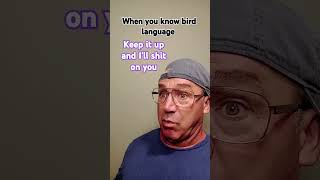 When You Know Bird Language shorts [upl. by Morris]