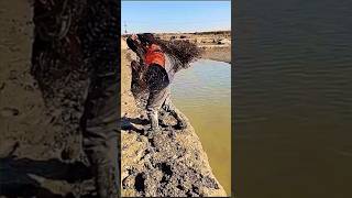 Amazing casting net video shortvideo shortsfeed fishing amazingfishing [upl. by Solita]