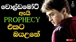 Prophecy එක ගැන හැමදෙයක්ම  Harry Potter Prophesy Explained [upl. by Rochette]