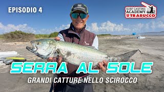 surfcasting PESCA AL SERRA ALLA LUCE DEL SOLE surfcastingacademy trabuccofishing [upl. by Bunny621]