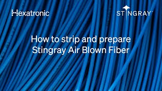 Stripping and preparation of Hexatronic Stingray Air Blown Fiber Unit [upl. by Haslett]