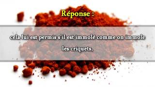 Le colorant alimentaire rouge E120 Sheikh Mohammad Ali Ferkous [upl. by Kreit785]