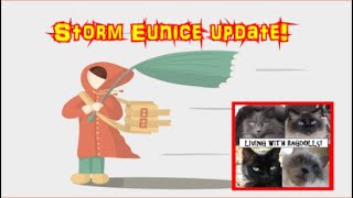 Storm Eunice update  Living with Ragdolls [upl. by Aneled]