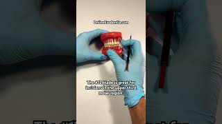 Maxillary Third Molar Incisions  OnlineExodontiacom  oralsurgery dental dentalstudent [upl. by Eidod996]