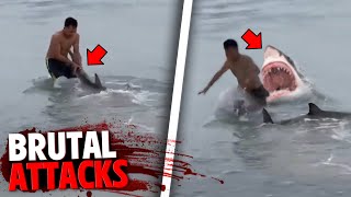 The Most BRUTAL Shark Attacks MARATHON [upl. by Rue676]