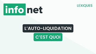 Lautoliquidation cest quoi  définition aide lexique tuto explication [upl. by Ynes]