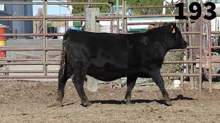 Lot 193 Sackmann Foxfire 4241 [upl. by Ardnnek]