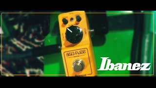 Ibanez new 850 Fuzz mini pedal FZ 2017 demo review [upl. by Nire]