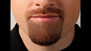 Goatee Shaving Template [upl. by Lednar]