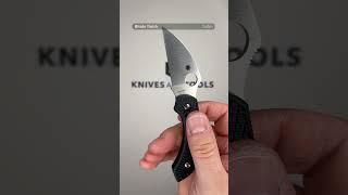 Spyderco Dragonfly 2 Wharncliffe C28FPWCBK2 pocket knife [upl. by Cthrine]