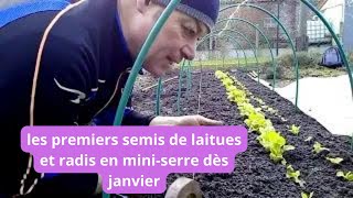 que faire au jardin en janvier on sème des salades et des radis en serre [upl. by Eirrej]