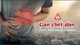 Detox Orgreen  Giải độc gan Tăng cường chức năng gan  TDT [upl. by Emalee590]