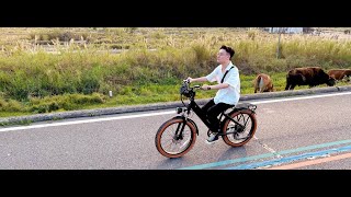 CEAYA 26 Inch Electric Bike AZ26 [upl. by Kciv197]