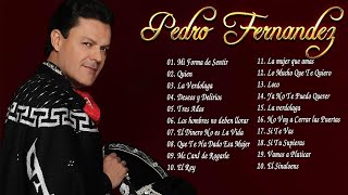 Pedro Fernandez Sus Grandes Exitos Top 20 Mejores Canciones De Pedro Fernandez GRANDES EXITOS [upl. by Lusty241]