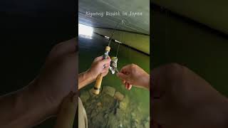 Fishing under the bridge fishing angler kigwangbisdakinjapan fishingvideo [upl. by Mathe]