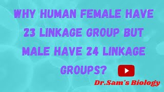 Why Human Female have 23 Linkage Groups but Male have 24 Linkage group [upl. by Okimat]