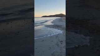 Playa den Bossa on the beach Ibiza Spain 2024 ibiza [upl. by Whelan]