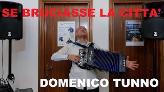 Massimo Ranieri SE BRUCIASSE LA CITTA  Domenico TUNNO Diatonic Cover [upl. by Pampuch]