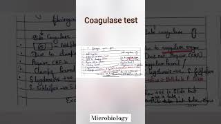 Coagulase test microbiologybiochemical testmltytshorts shortvideomicrobiologyviralshorts [upl. by Ari]