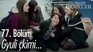 Gyuli Çkimi  Ayşenur Kolivar  Kırgın Çiçekler 77 Bölüm [upl. by Lletnahc]