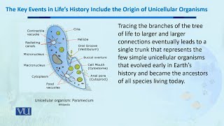 History include the Organic of unicellular Organisms  Biodiversity amp EvolutionII  BT201Topic181 [upl. by Clement]