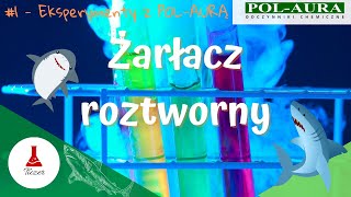 Żarłacz Roztworny  Eksperymenty z PolAurą [upl. by Ayatnahs]