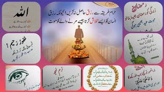 Aqwal e zareen😭😭😭😭😭Quotes in urduUrdu AqwalMotivation Heart Touching [upl. by Jerz]