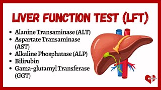 Liver Function Tests LFTs  liver function test interpretation  Animation  MultiLanguages [upl. by Randy780]