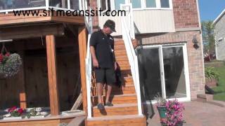 Dog Training Information  How to Train a Dog to Walk on Stairs [upl. by Milburt]