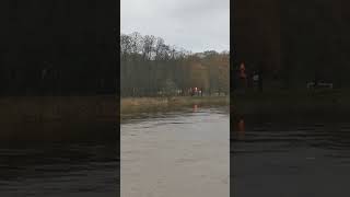 Hochwasser Meppen 28122023 1200 Ems 370cm B70 Brücke Richtung Esterfeld [upl. by Oettam]