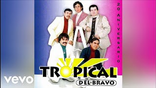 Tropical Del Bravo  Cabellos Largos Audio Oficial [upl. by Teressa]