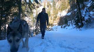 Hiking Solo Switzerland Zurich Strahlegg 4K [upl. by Lytle]