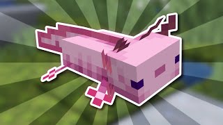 Everything There is to Know About Axolotls in Minecraft 120 [upl. by Phonsa]