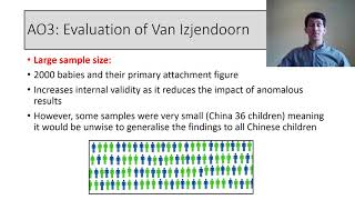 Cultural variations in attachment [upl. by Amis]